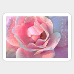 A Birthday Rose Sticker